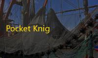 Pocket Knight(口袋骑士)